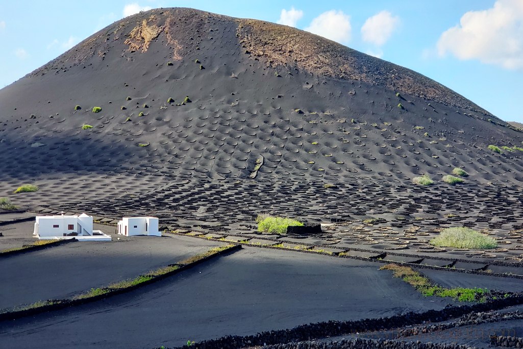 lanzarote_la_geria_8