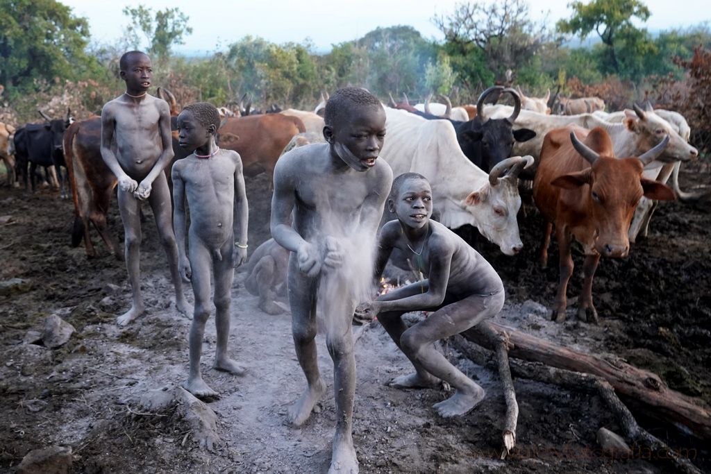 cattle-camp-etiopia-5