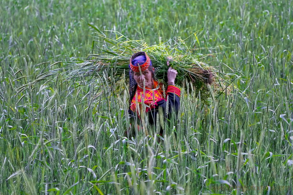 kalash-woman-1