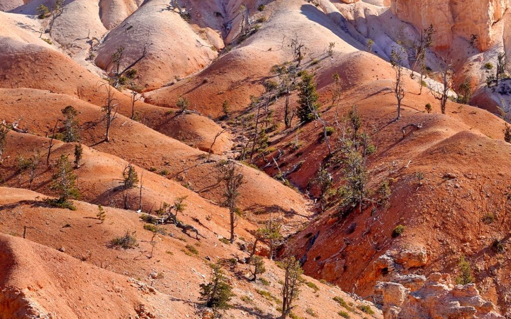 bryce-canyon-10