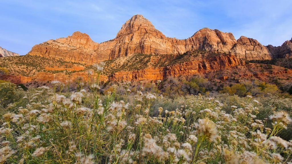 zion-national-park-2