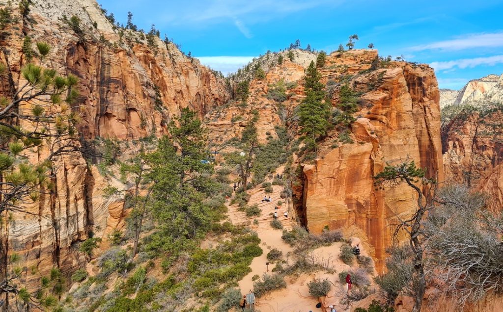 zion-national-park-16