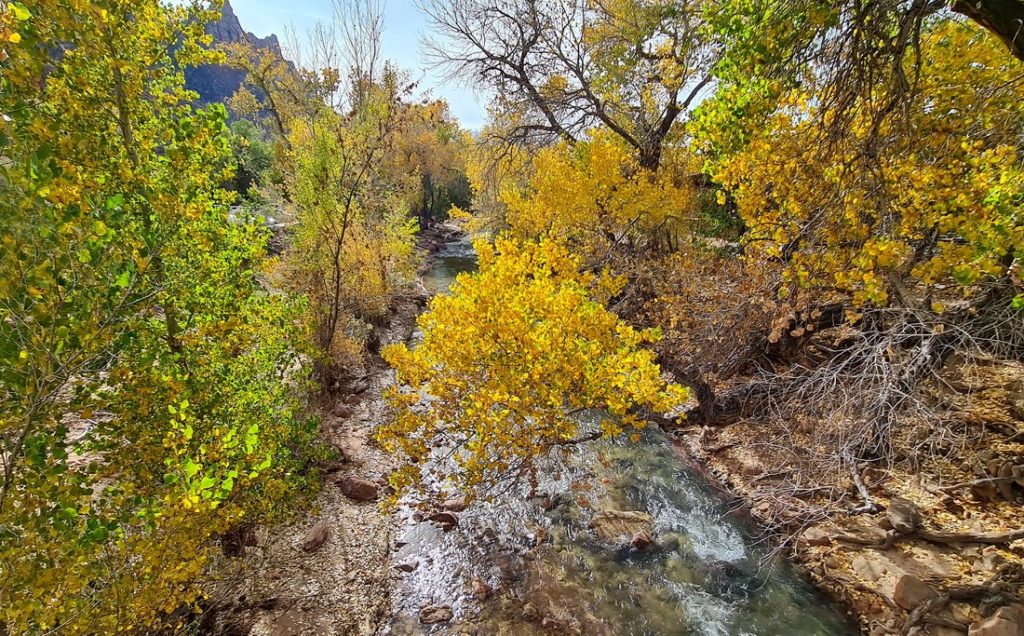 zion-national-park-5