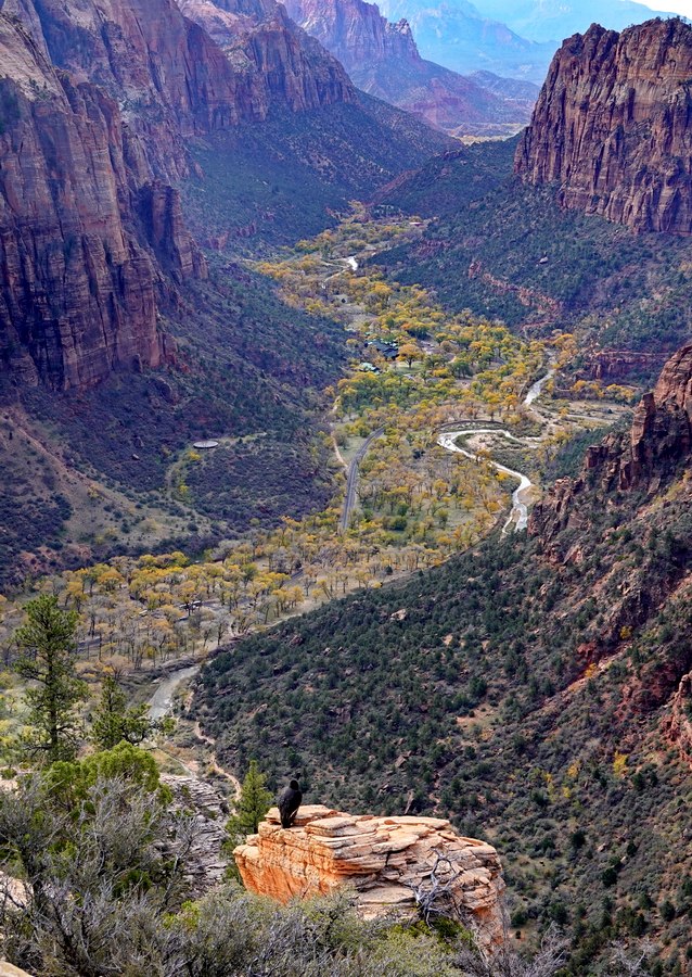 zion-national-park-14