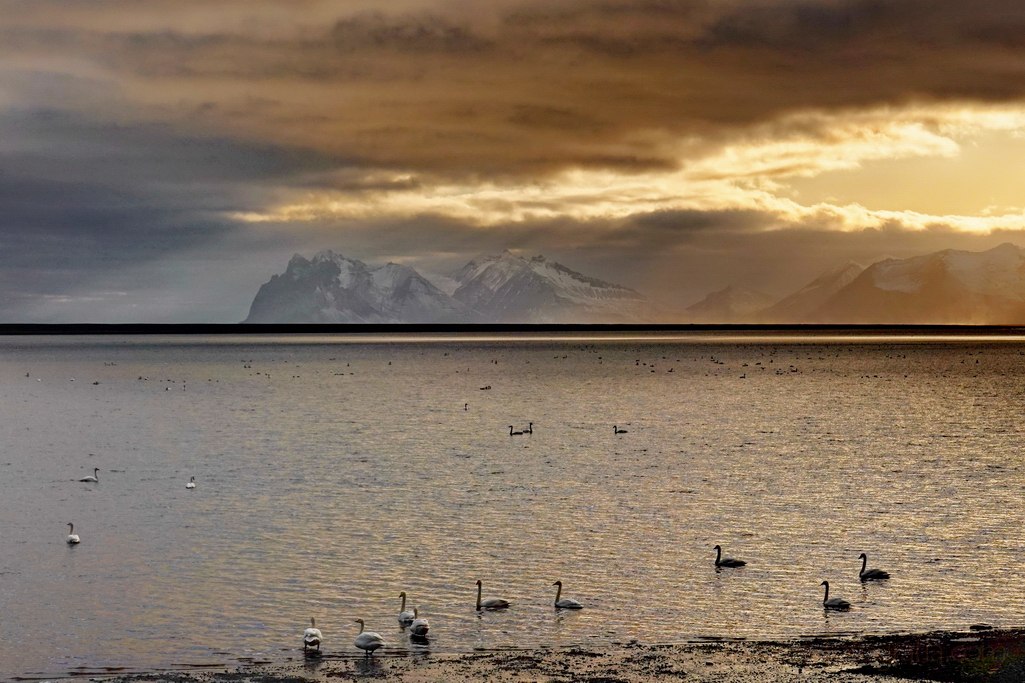 islandia-atardecer