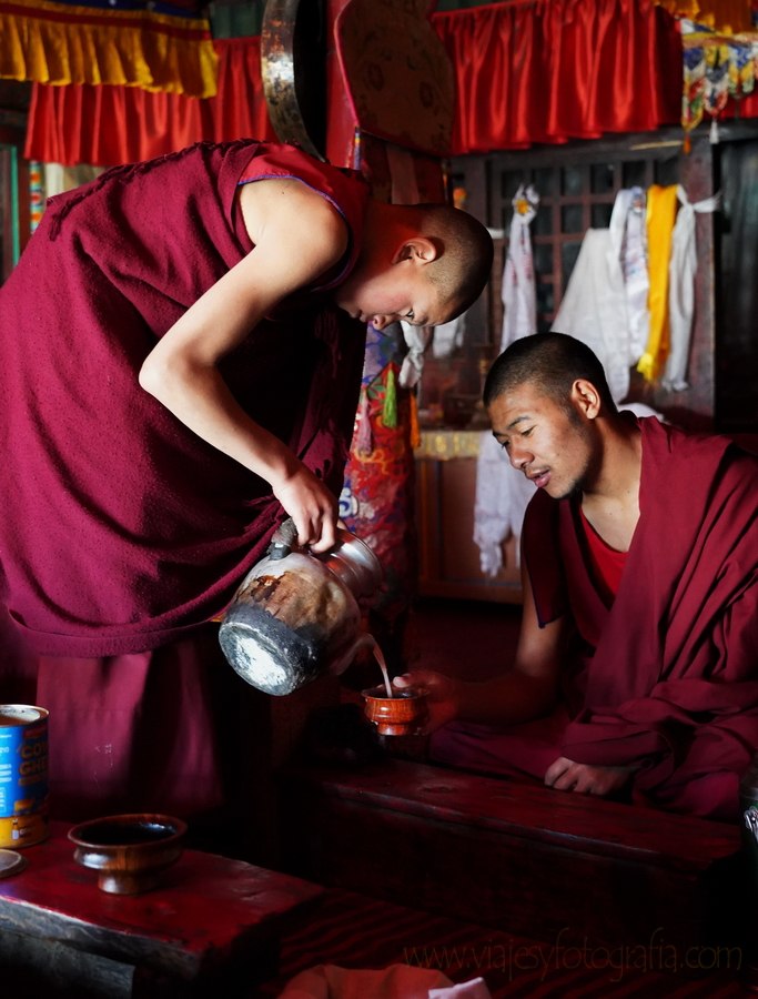 karsha-monastery-zanskar-valley