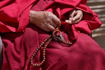 ladakh-DSC09735