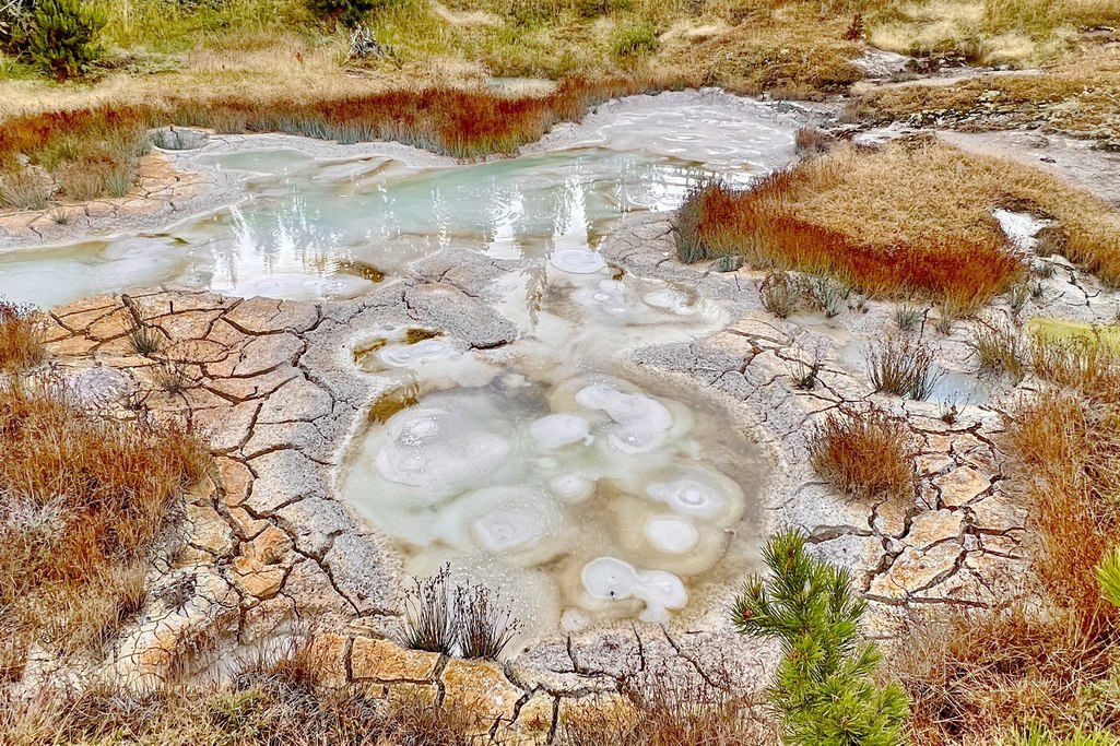 west-thumb-geyser-bassin-yellowstone