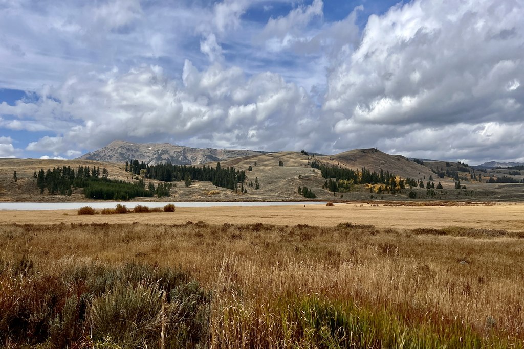 lamar-valley-yellowstone