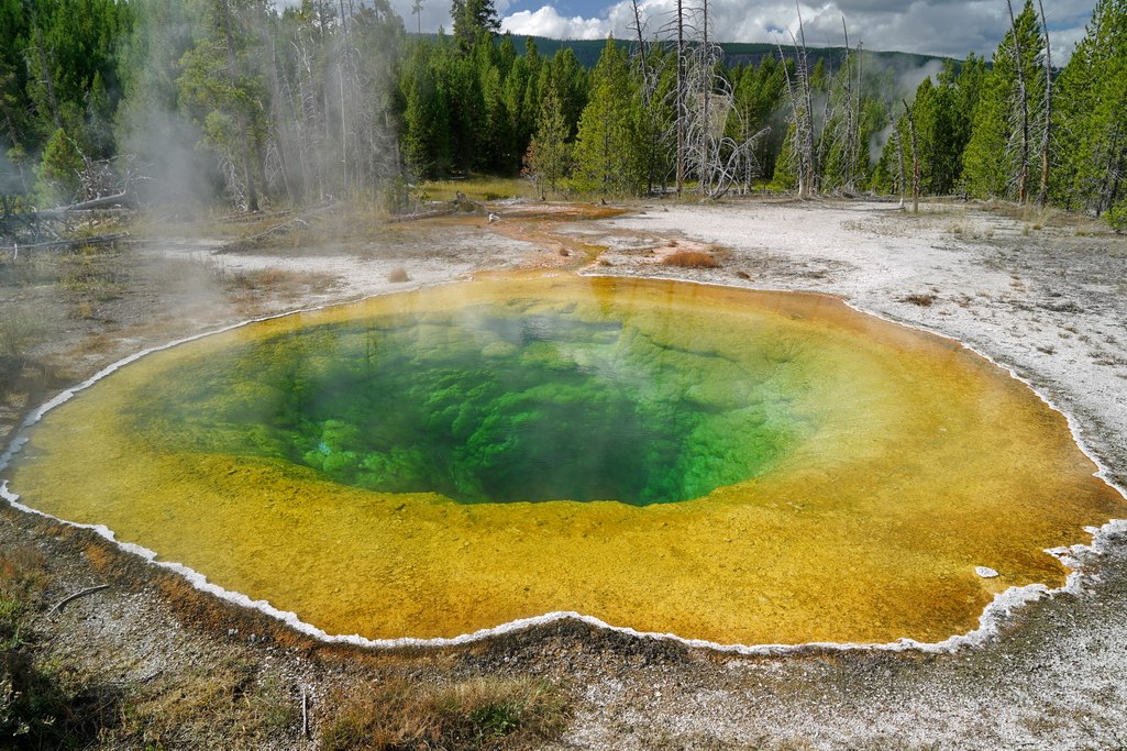 Yellowstone y lo mejor de su naturaleza en 10 spots fotográficos