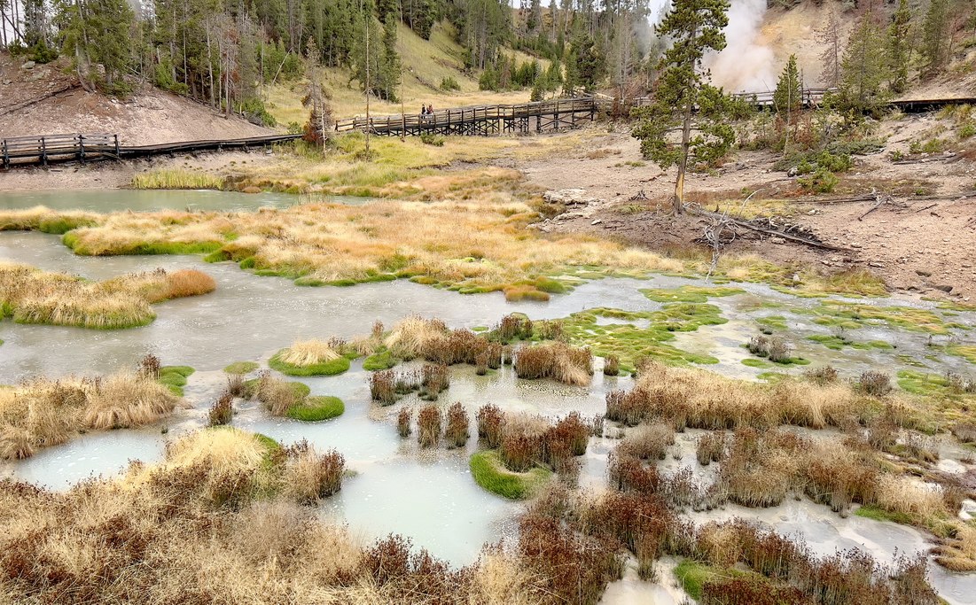 west-thumb-geyser-bassin-yellowstone-2