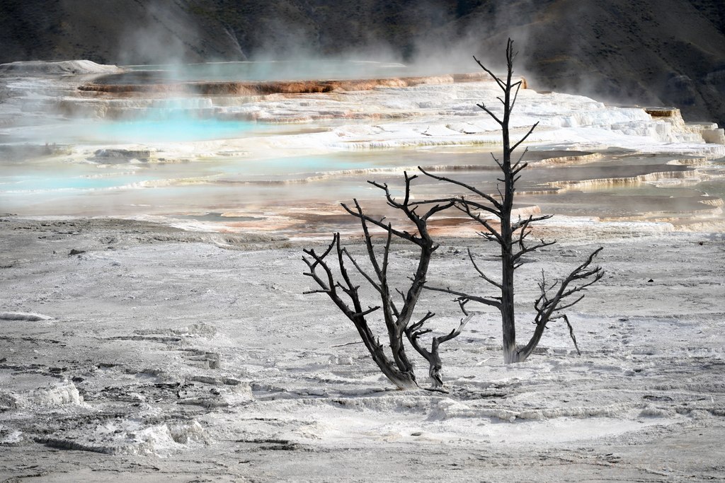 mammoth-hot-springs-yellowstone