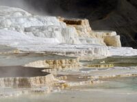yellowstone-mammoth-hot-springs-DSC05078_result