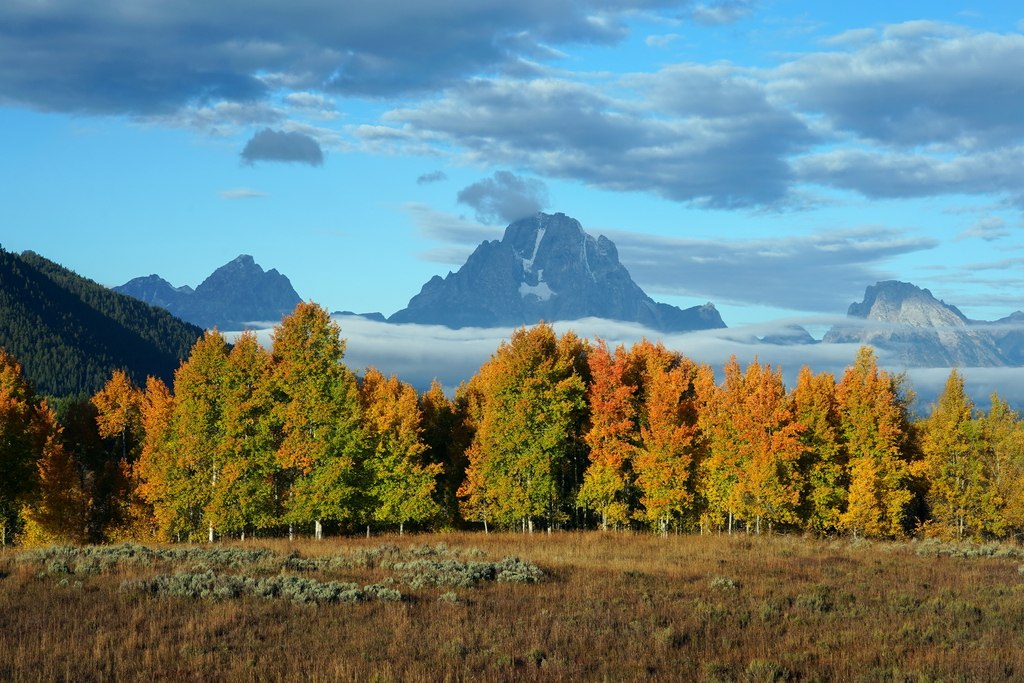 grand-teton-national-park-autumm