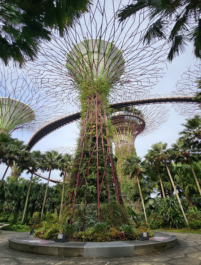 singapur-marina-bay-supertrees