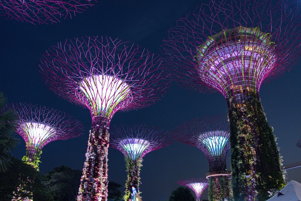 singapur-marina-supertrees