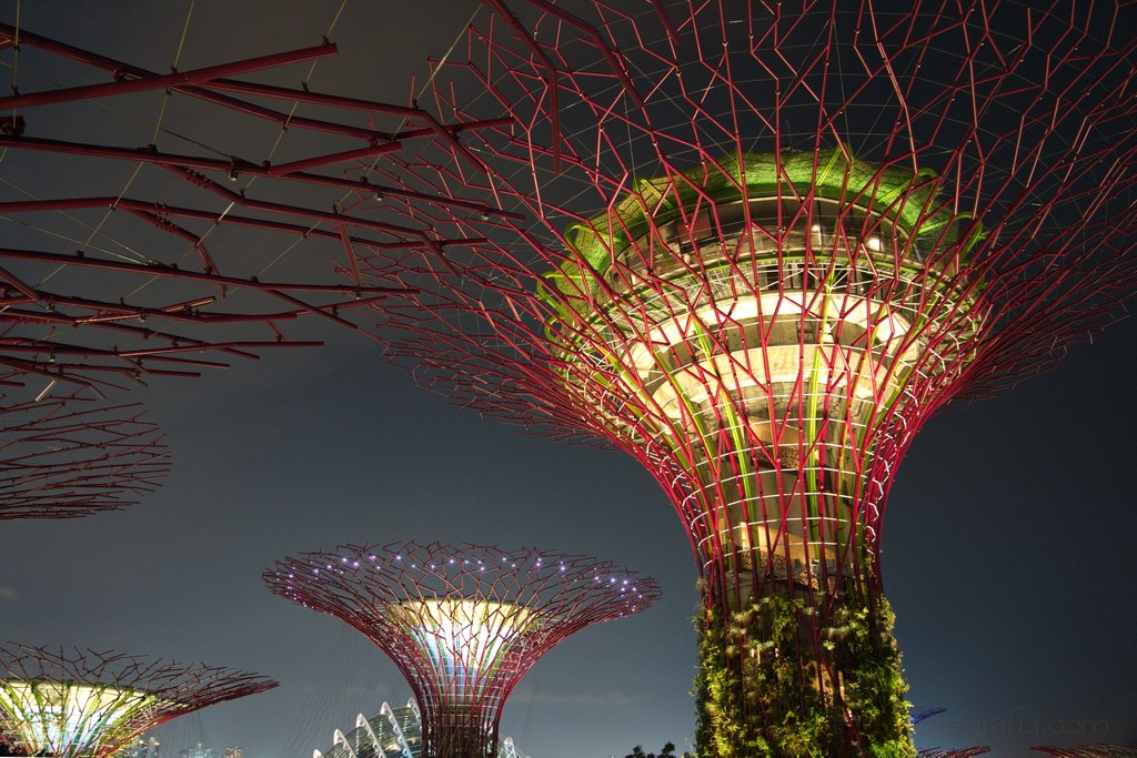 singapur-supertrees-2