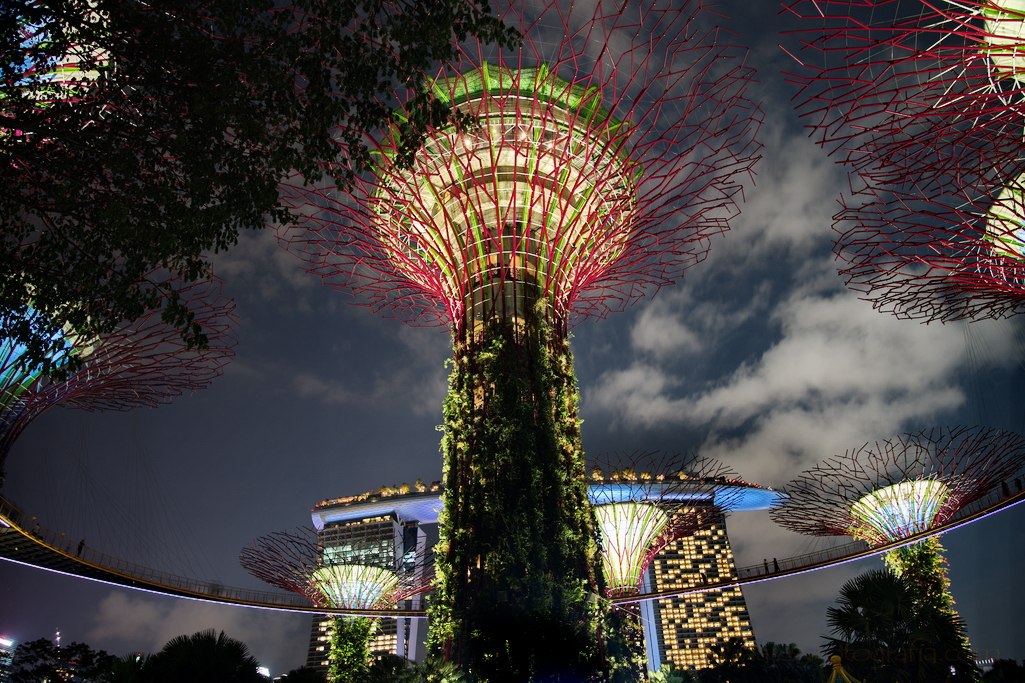 singapur-marina-bay-supertrees-night