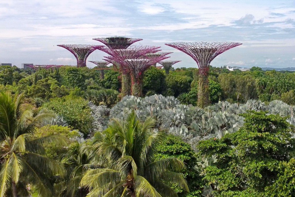 singapur-marina-bay-gardens-2