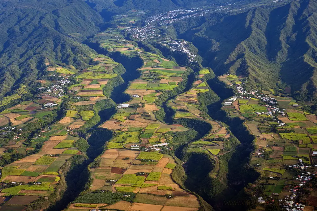 la-reunion-plantaciones