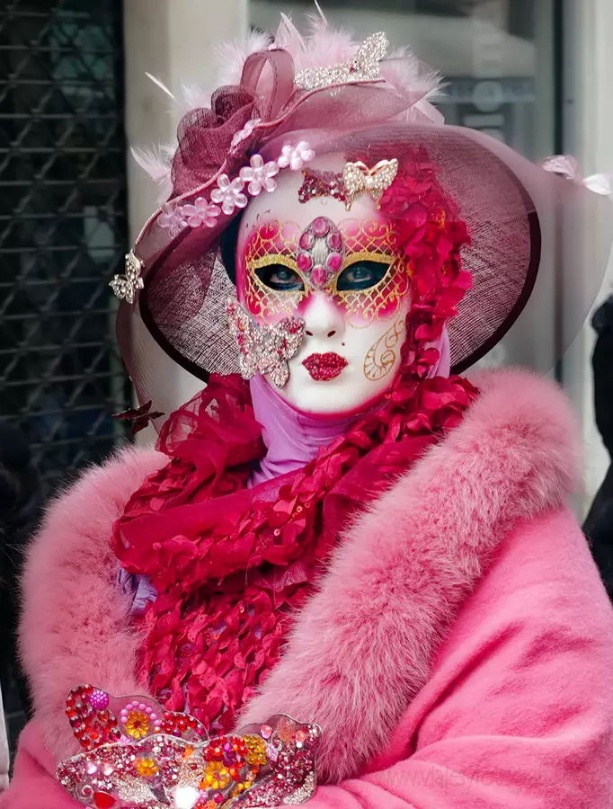 carnaval-venecia-pink