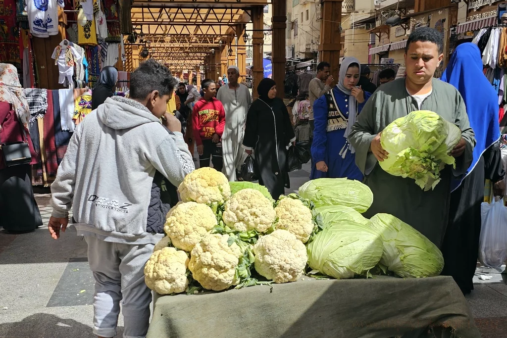 egipto-mercado-asuan