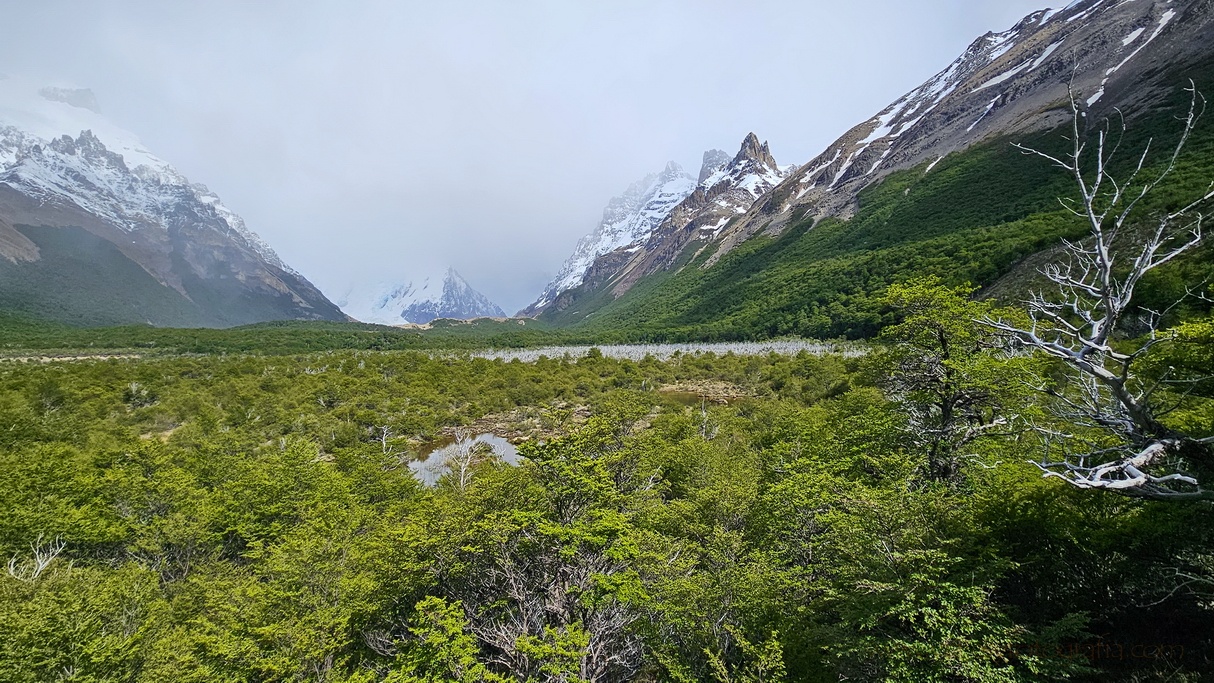 camino-a-laguna-torre