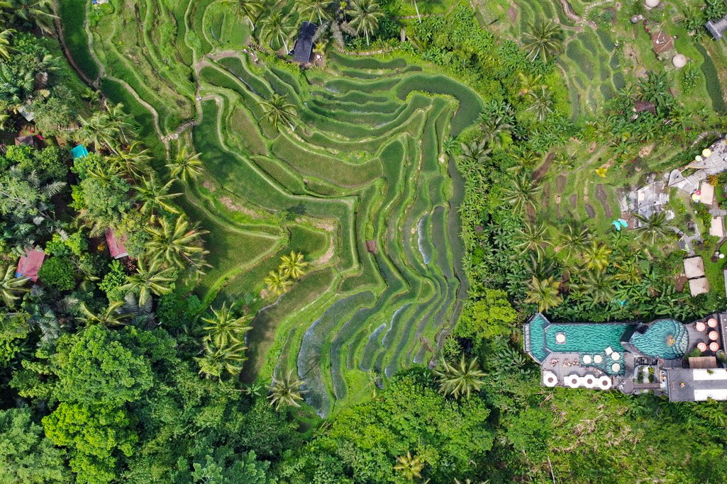 tegallalang-bali