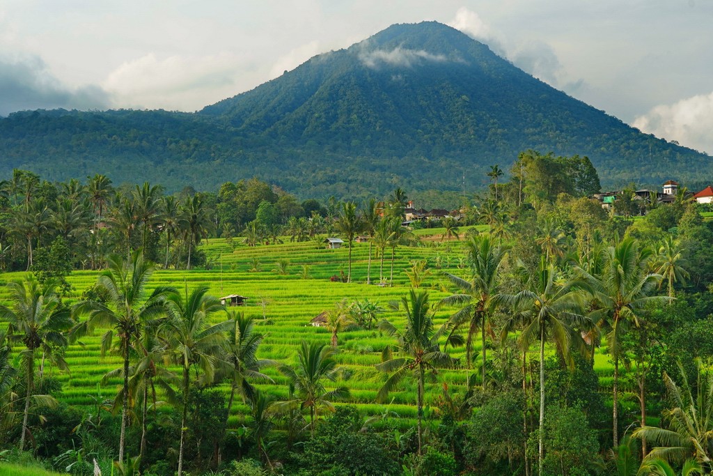 jatiluwih-bali