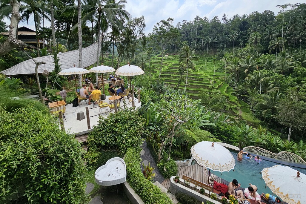 arrozales-bali-3
