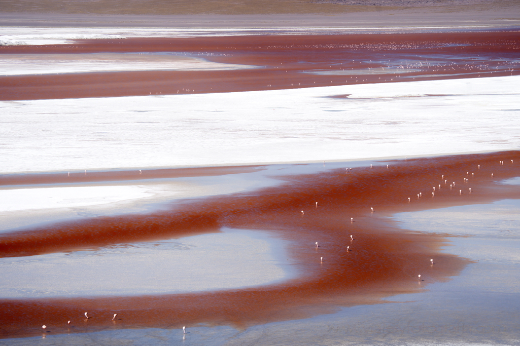 eduardo-avaroa-laguna-colorada-2