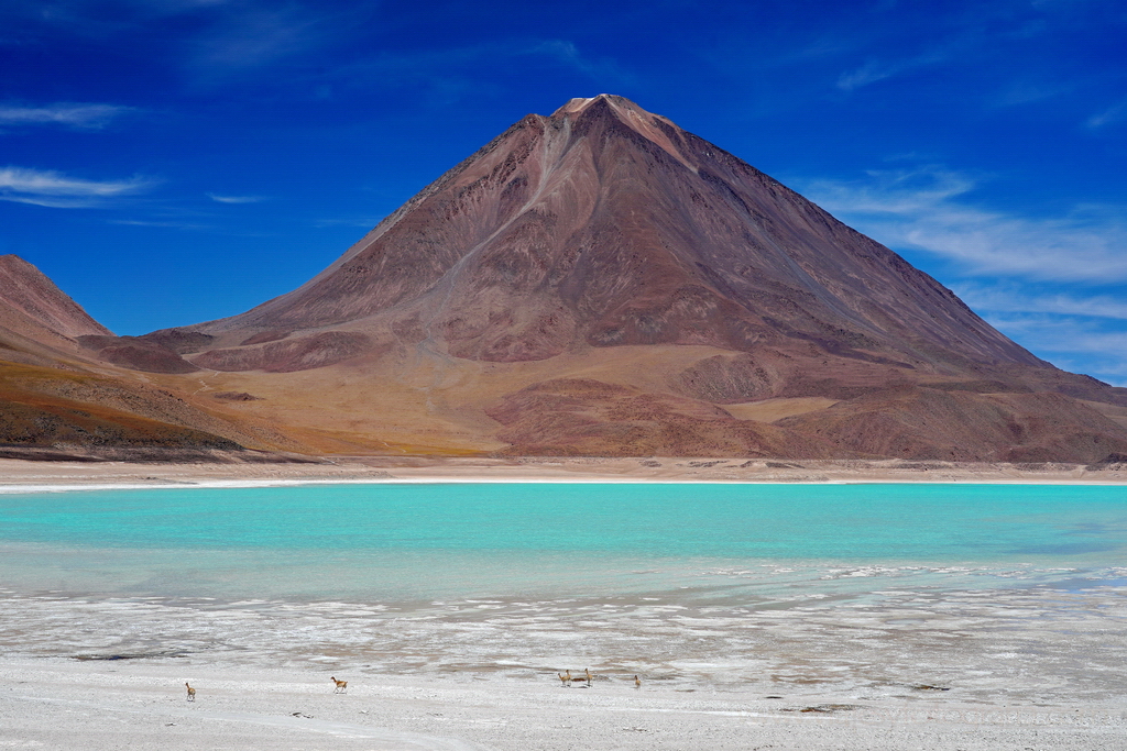 eduardo-avaroa-laguna-verde-2