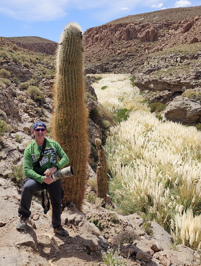 desierto-de-atacama-cactus