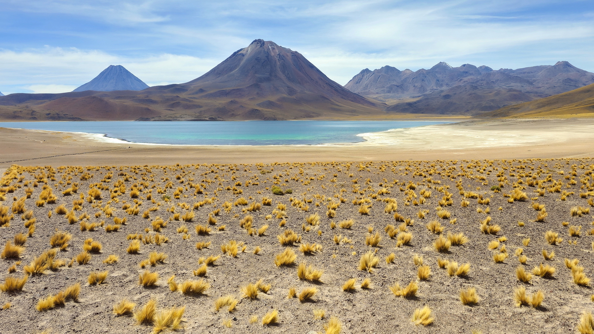 desierto-de-atacama-lagunas