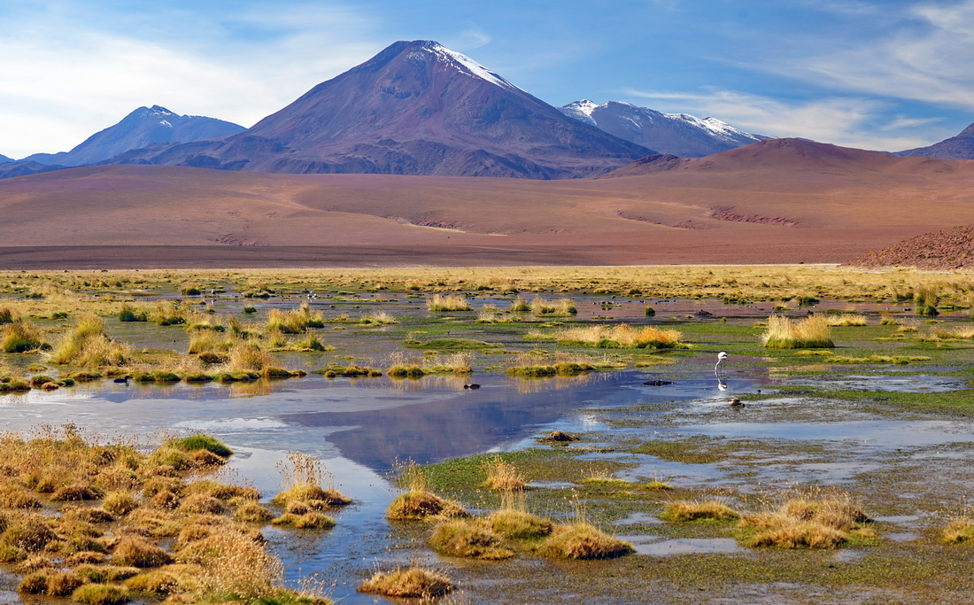 desierto-de-atacama-lagunas