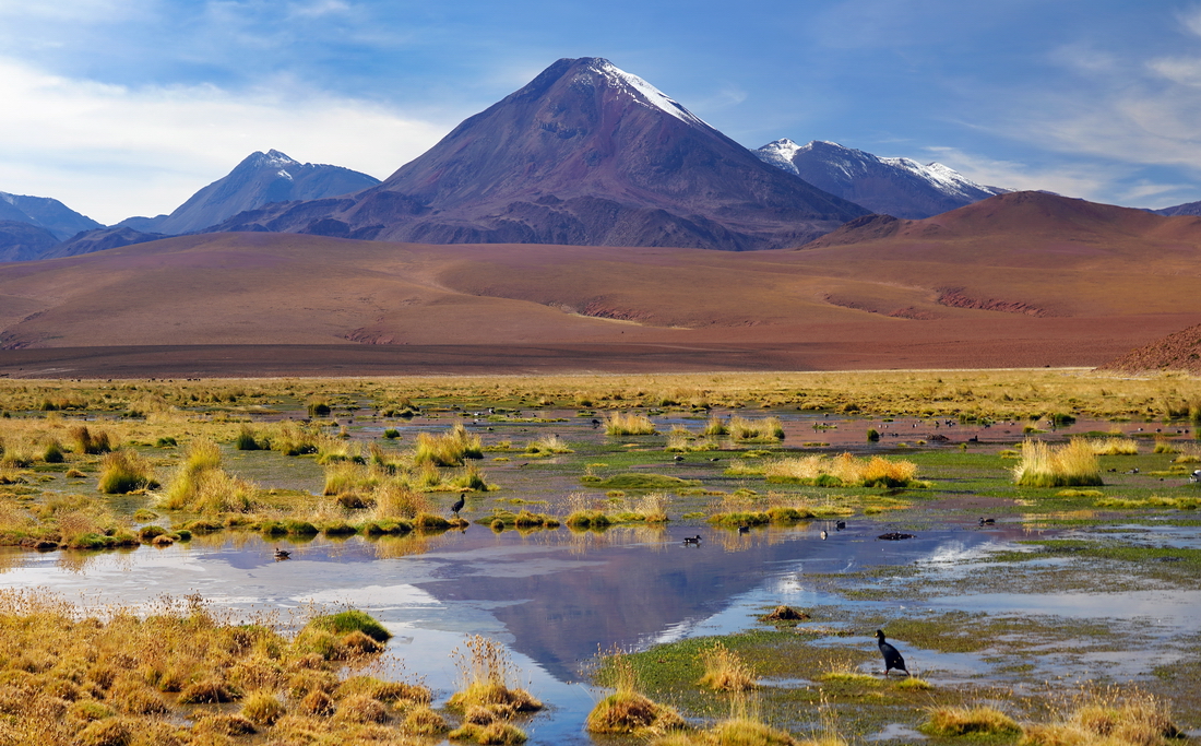 desierto-de-atacama-rio-puritama