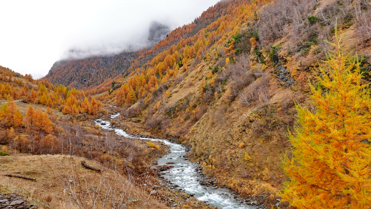 Valle del Guil en Ristolas en otoño