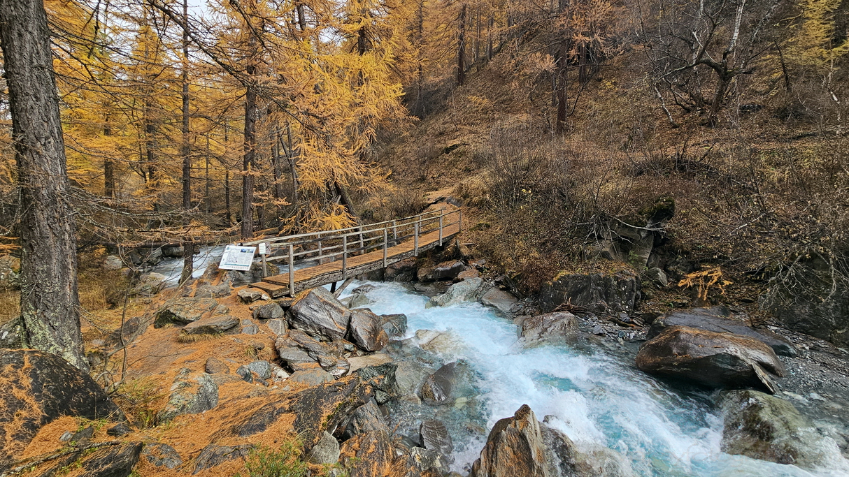 bosques otoñales en Queyras y Ristolas