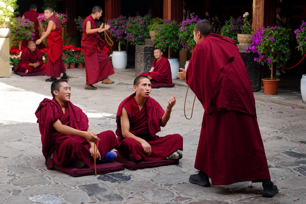 debate templo de Jokhang Lhasa