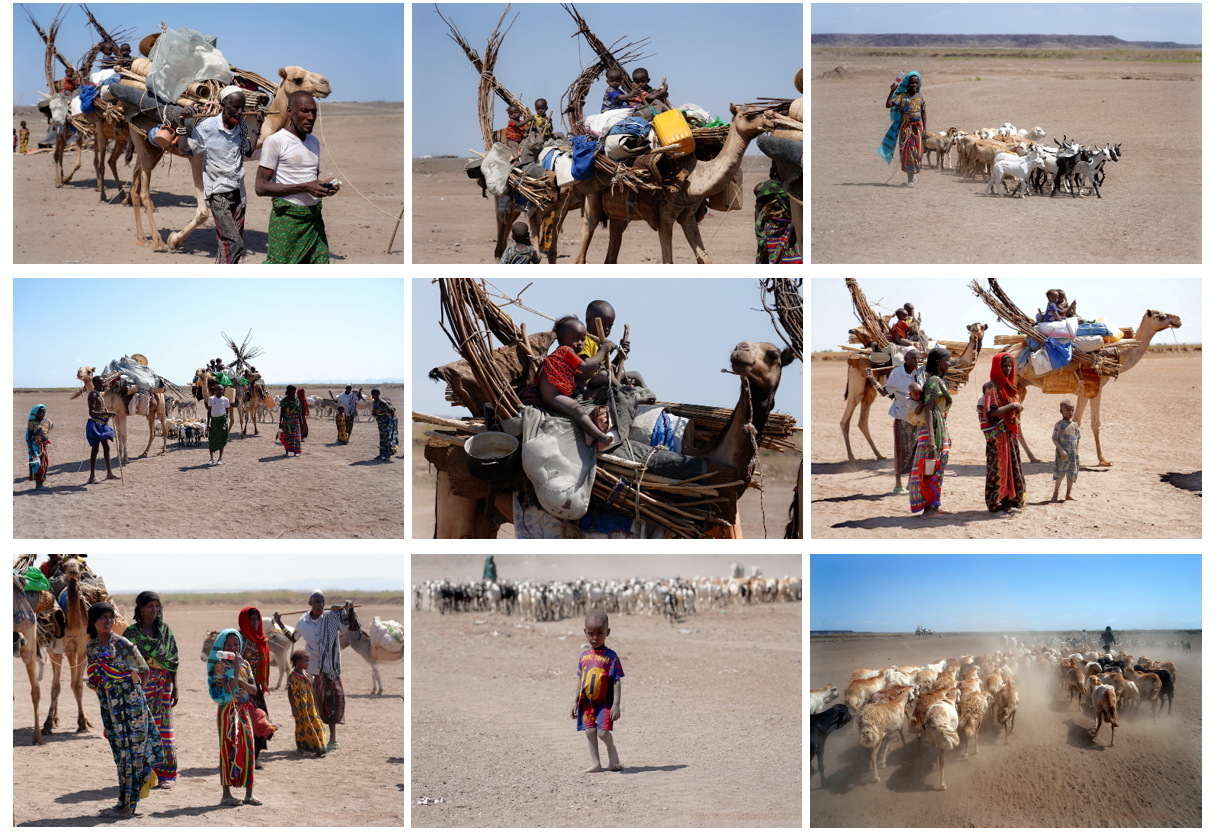 familia Afar y nomadismo