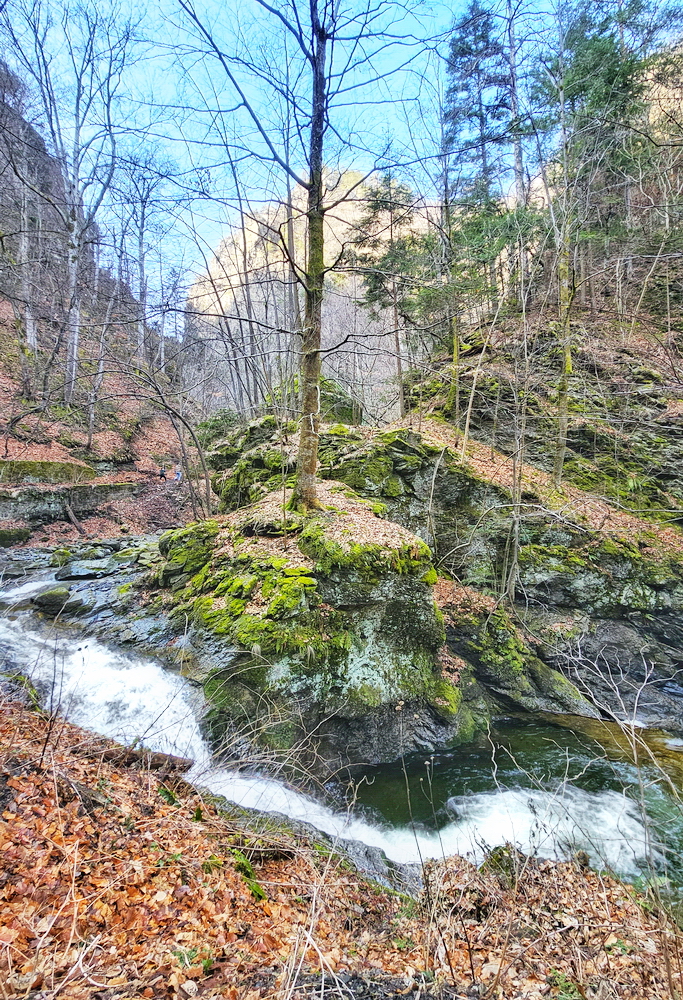Parque Nacional Cozia Transilvania
