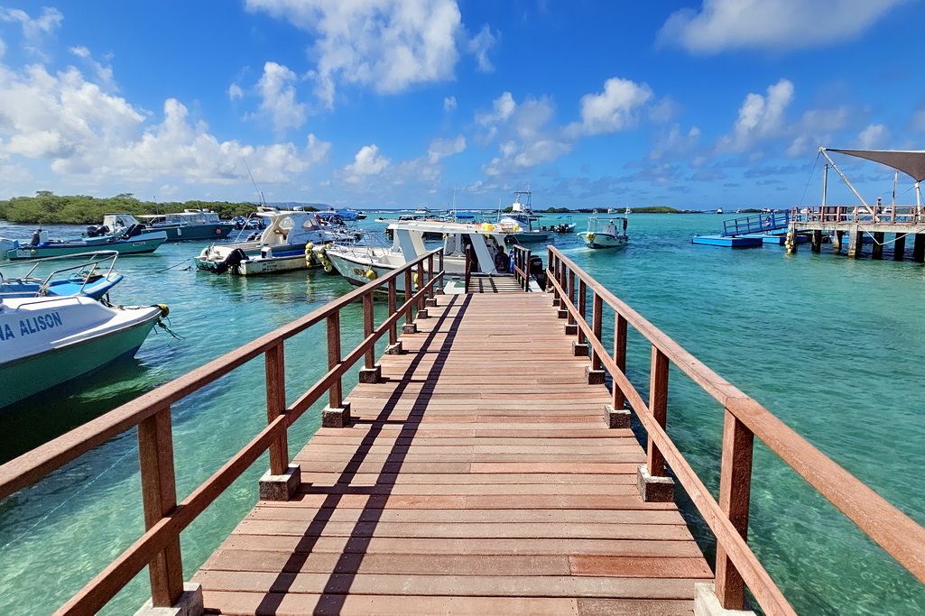 Puerto Villamil en isla Isabela